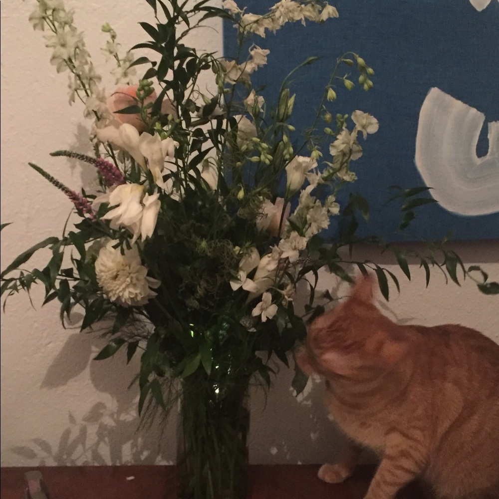 Meet your Posher, Haza